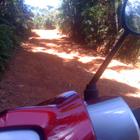 back roads in Phuket with a Honda Wave